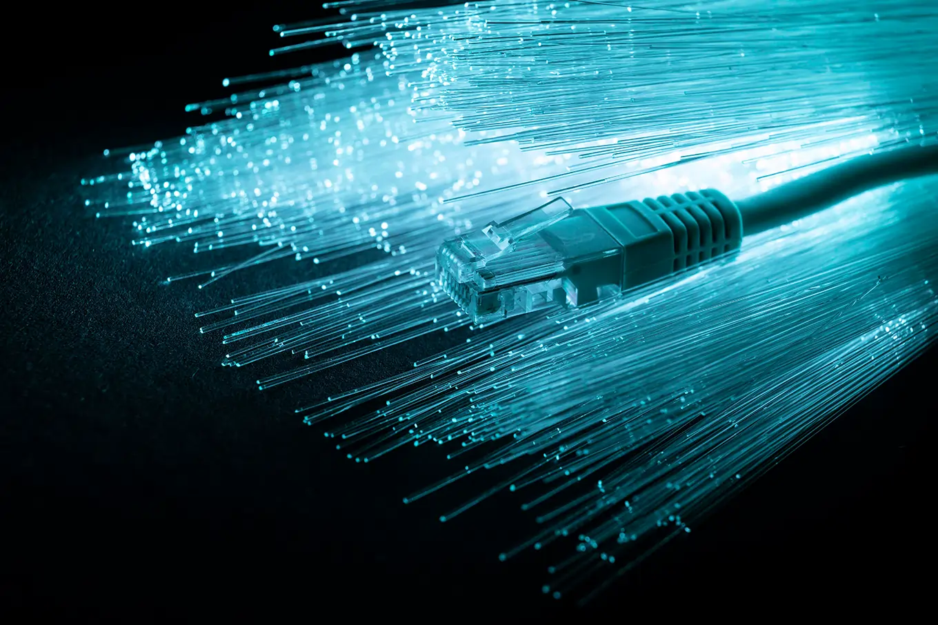 fiber optic internet